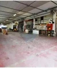 Vendita Capannone da 6000mq Vendita Capannone da 6000mq