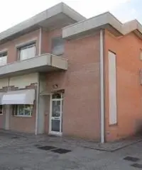 Affitto Capannone da 435mq Affitto Capannone da 435mq