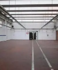 Vendita Capannone da 2000mq Vendita Capannone da 2000mq