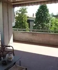 Vendita Capannone in via cadore, Carpi,It Vendita Capannone in via cadore, Carpi,It