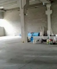 Affitto Capannone da 1200mq con ascensore Affitto Capannone da 1200mq con ascensore