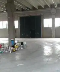 Affitto Capannone da 1200mq con ascensore Affitto Capannone da 1200mq con ascensore