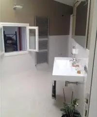 Affitto Capannone in Via Monte Rosa Affitto Capannone in Via Monte Rosa