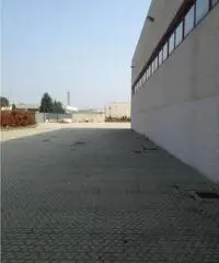 Vendita Capannone in Zona industriale