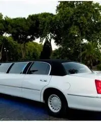 Affitto Limousine e auto d'epoca