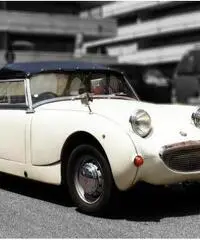 Austin Healey Sprite MK I 1959, Iscritta ASI Austin Healey Sprite MK I 1959, Iscritta ASI