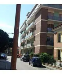Francavilla al Mare Vendita Appartamento Francavilla al Mare Vendita Appartamento