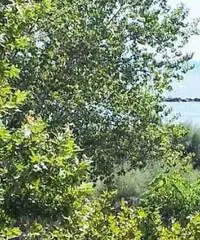 Appartamento in Vendita di 90mq Appartamento in Vendita di 90mq