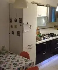 AFFITTASI A STUDENTESSE DUE POSTI LETTO IN CAMERA DOPPIA AFFITTASI A STUDENTESSE DUE POSTI LETTO IN CAMERA DOPPIA
