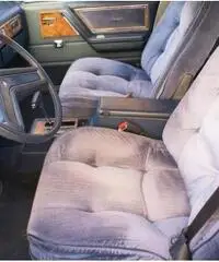 Buick Skylark Limited Edition, Iscritta ASI, Appena tagliandata Buick Skylark Limited Edition, Iscritta ASI, Appena tagliandata