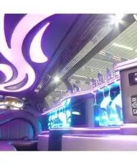 Chrysler Altro Chrysler conversione limousine Chrysler Altro Chrysler conversione limousine