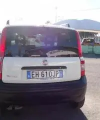 FIAT Panda 1.2 Active GPL rif. 7178305