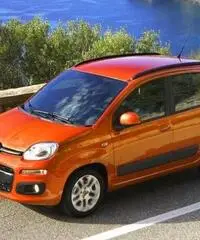 FIAT Panda 1.2 Easy rif. 7195667 FIAT Panda 1.2 Easy rif. 7195667