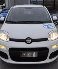 FIAT Panda 1.2 Pandazzurri NUOVA - PREZZO PROMO!!! rif. 7189506