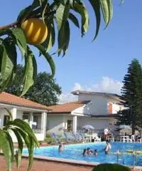 PRAIA A MARE AFFITTASI PRAIA A MARE AFFITTASI