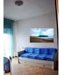 PRAIA A MARE AFFITTASI PRAIA A MARE AFFITTASI