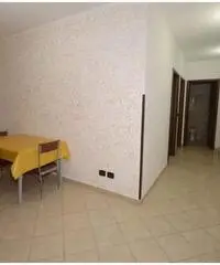 Grazioso bilocale ristrutturato ed arredato Grazioso bilocale ristrutturato ed arredato