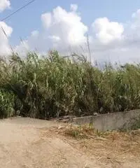 GIOIA TAURO VENDE: Terreno agricolo zona lungomare sud