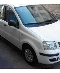 FIAT Panda 1.3 MJT 16V Dynamic rif. 7162296