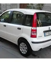 FIAT Panda 1.3 MJT 16V Dynamic rif. 7162296