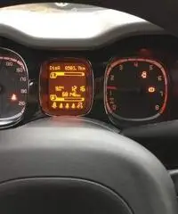 Panda Twin Air Natural Power Trekking