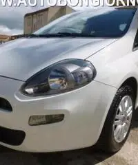 FIAT Punto 1.3 MJT 95 CV 3p EasY rif. 7192731 FIAT Punto 1.3 MJT 95 CV 3p EasY rif. 7192731