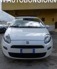 FIAT Punto 1.3 MJT 95 CV 3p EasY rif. 7192731 FIAT Punto 1.3 MJT 95 CV 3p EasY rif. 7192731
