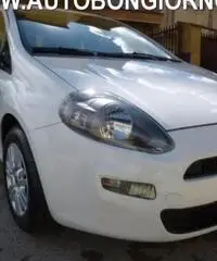 FIAT Punto 1.3 MJT 95 CV 3p EasY rif. 7192731 FIAT Punto 1.3 MJT 95 CV 3p EasY rif. 7192731