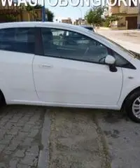 FIAT Punto 1.3 MJT 95 CV 3p EasY rif. 7192731 FIAT Punto 1.3 MJT 95 CV 3p EasY rif. 7192731