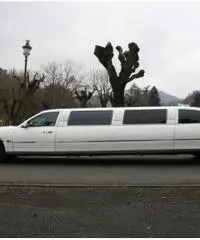 Lincoln Town CAR Limousine Lincoln Town CAR Limousine