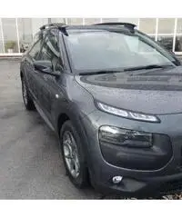 C4 cactus permuto C4 cactus permuto