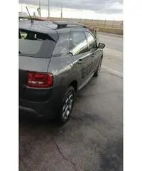 C4 cactus permuto C4 cactus permuto