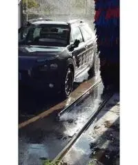 C4 cactus permuto C4 cactus permuto