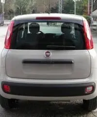 FIAT Panda 1.2 Easy rif. 5989996 FIAT Panda 1.2 Easy rif. 5989996