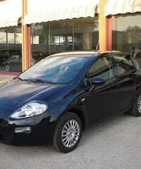 FIAT Punto 1.2 8V 5 porte Street rif. 5990008 FIAT Punto 1.2 8V 5 porte Street rif. 5990008