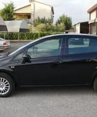 FIAT Punto 1.2 8V 5 porte Street rif. 5990008 FIAT Punto 1.2 8V 5 porte Street rif. 5990008