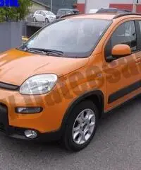 FIAT Panda 0.9 TwinAir Turbo S&S Trekking rif. 7168364 FIAT Panda 0.9 TwinAir Turbo S&S Trekking rif. 7168364