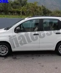 FIAT Panda 1.2 EasyPower Easy rif. 6558608 FIAT Panda 1.2 EasyPower Easy rif. 6558608