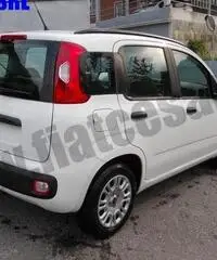 FIAT Panda 1.2 EasyPower Easy rif. 6558608 FIAT Panda 1.2 EasyPower Easy rif. 6558608