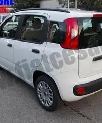 FIAT Panda 1.2 EasyPower Easy rif. 6828482 FIAT Panda 1.2 EasyPower Easy rif. 6828482