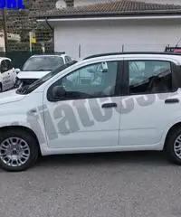 FIAT Panda 1.2 EasyPower Easy rif. 6828482 FIAT Panda 1.2 EasyPower Easy rif. 6828482