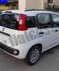 FIAT Panda 1.2 EasyPower Easy rif. 6828482 FIAT Panda 1.2 EasyPower Easy rif. 6828482
