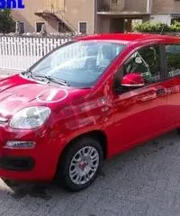 FIAT Panda 1.2 Pandazzurri rif. 6615248 FIAT Panda 1.2 Pandazzurri rif. 6615248