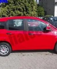 FIAT Panda 1.2 Pandazzurri rif. 6615248 FIAT Panda 1.2 Pandazzurri rif. 6615248