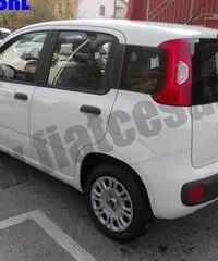 FIAT Panda 1.3 MJT 95 CV S&S Easy rif. 7084153 FIAT Panda 1.3 MJT 95 CV S&S Easy rif. 7084153