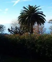 Appartamento in Vendita a 550.000