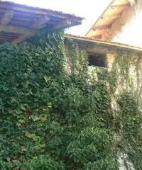 Porcia: Rustico Altro Porcia: Rustico Altro