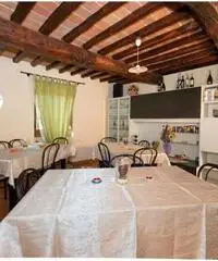Affitto Casa indipendente a Arezzo Affitto Casa indipendente a Arezzo