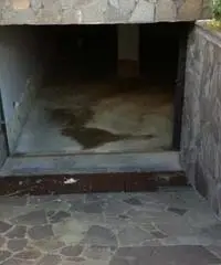 Villa di 4 locali in Affitto