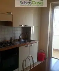 Appartamento in Affitto a 205